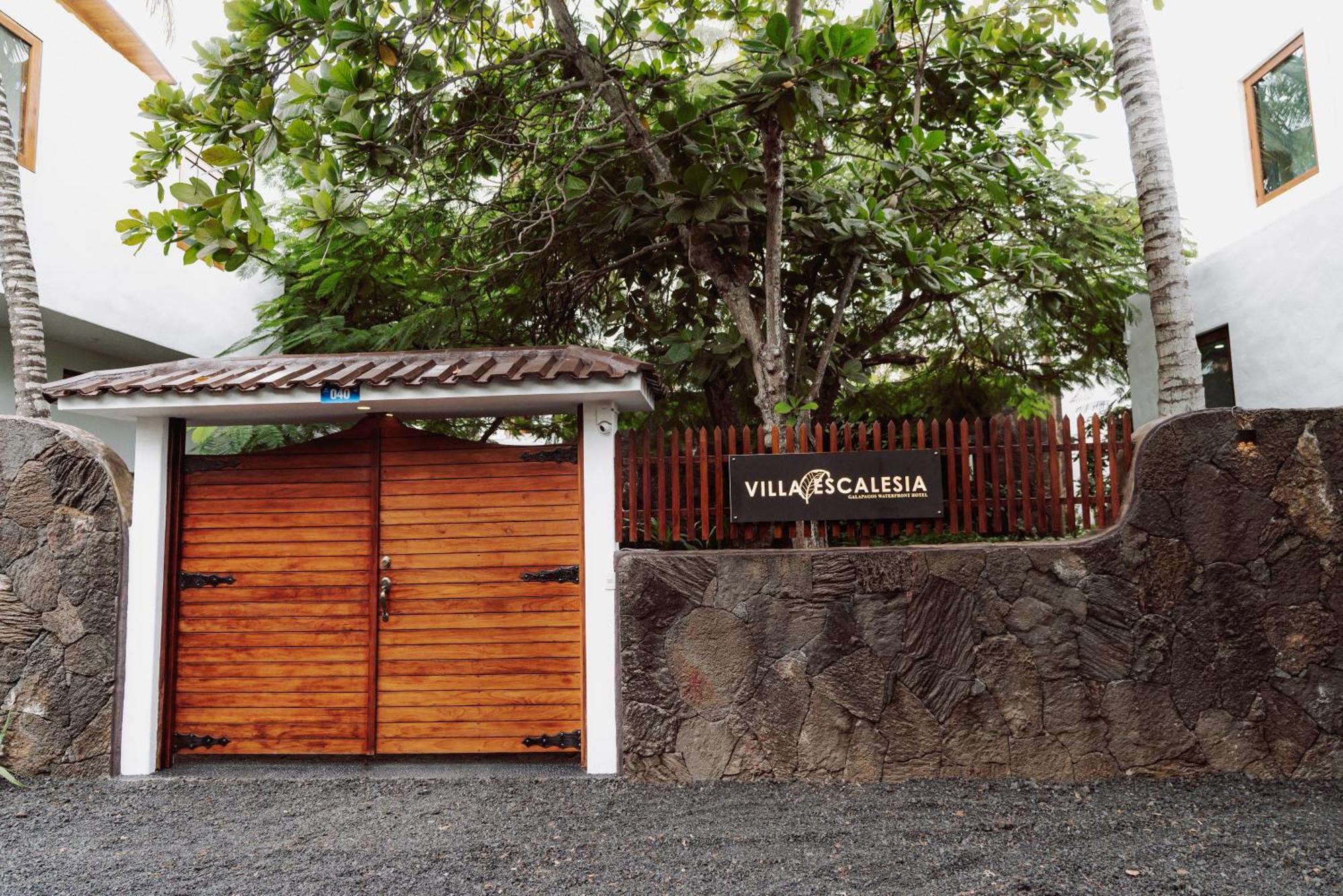 Hotel Villa Escalesia Galapagos Puerto Ayora  Exterior photo